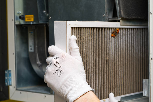Best Ductwork Cleaning Services  in Lamar, CO